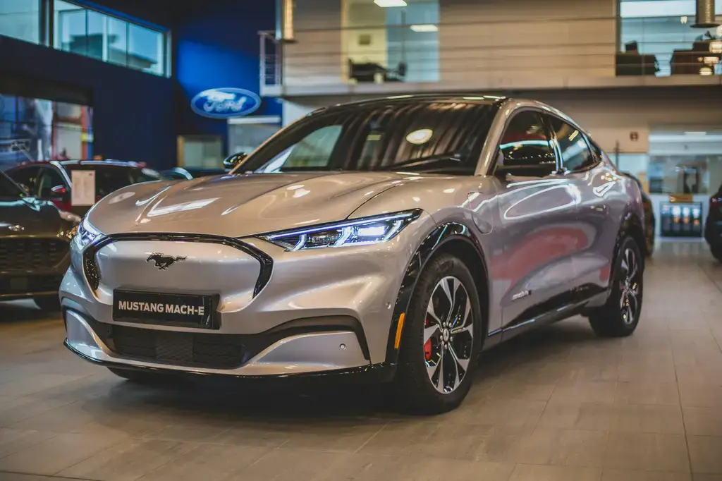 小汪喵：台灣最受歡迎的寵物