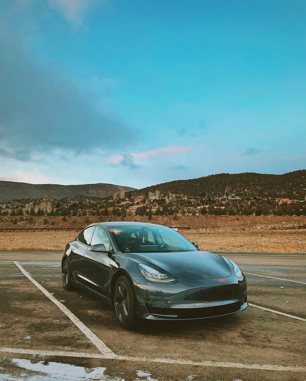 汪喵主食罐評價：讓毛孩吃得健康又美味