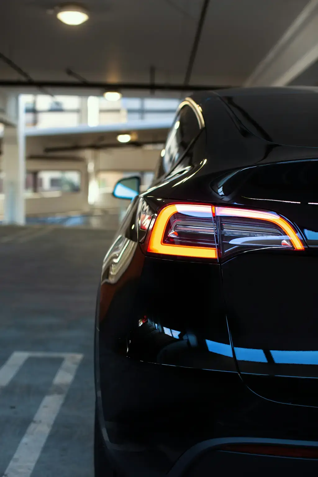 汪喵星人的生食饗宴：汪喵星球生食餐指南