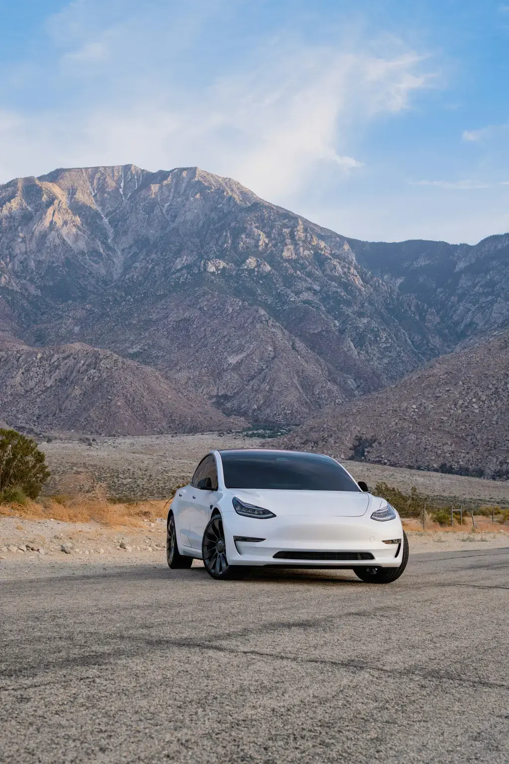 台灣貓奴必備：汪喵貓砂全攻略