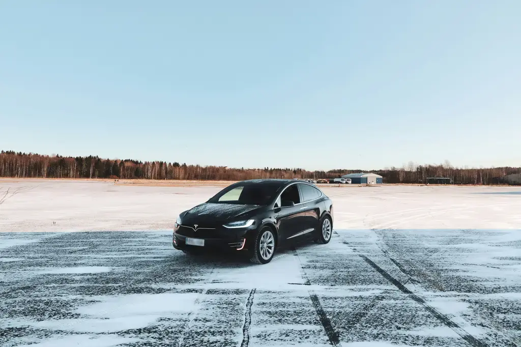 肉食控貓罐頭大評比：寵愛貓咪，盡在彈指之間！